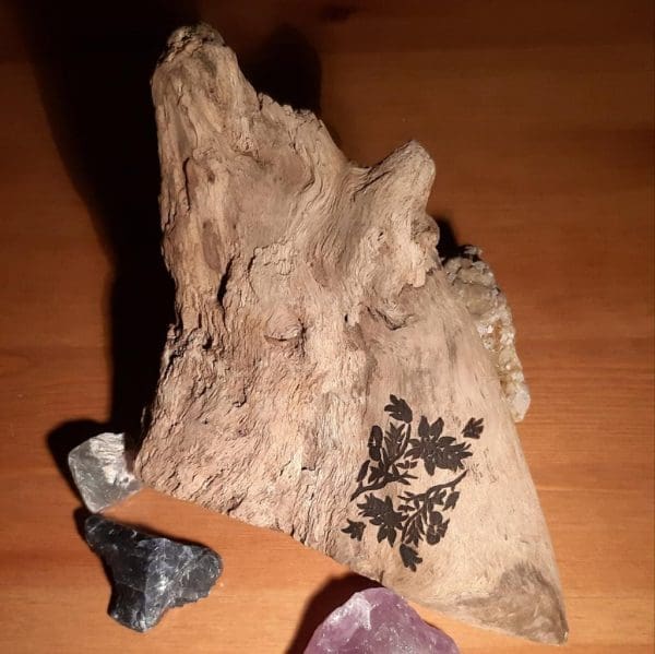 Wandbild_Blume